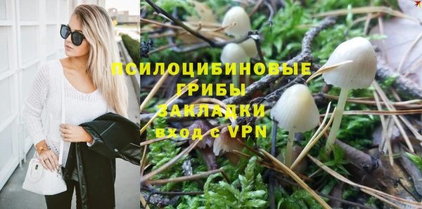 соль ск Балахна